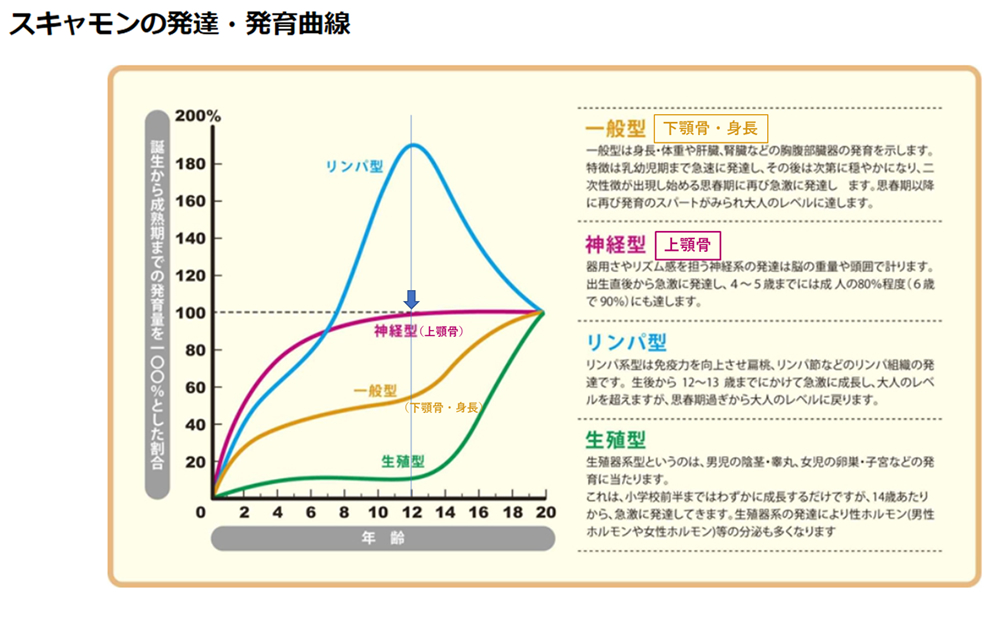 発達・発育曲線グラフ